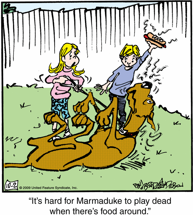 marmaduke